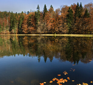 lago Rachel, Rachel lake Bayerischerwald NP