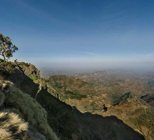 Acrocoro etiope, Ethiopian mountains Debre Libanos