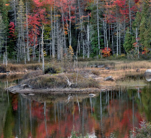 Indian summer Jacques Cartier NP