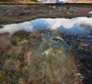 paesaggio, landscape parco nazionale di Dovrefjell, Dovrefjell NP
