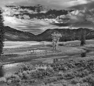 torrente Slough, Slough creek valle Lamar, Lamar valley, Yellowstone