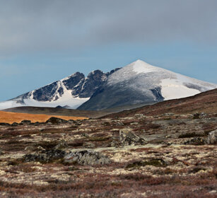 paesaggio, landscape parco nazionale di Dovrefjell, Dovrefjell NP