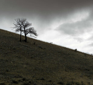 paesaggio, landscape PN di Yellowstone, Yellowstone NP