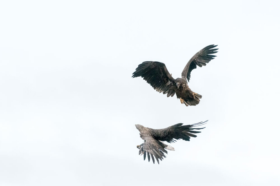 73be9438-c54e-49a0-ad7c-6b24455d6787