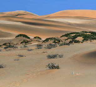 deserto, desert Swakopmund
