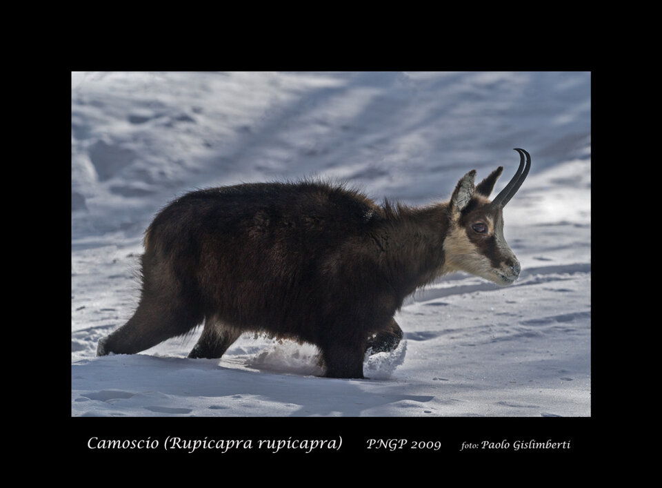 46ce8839-522f-4154-b04e-63b6e202bacd 46ce8839-522f-4154-b04e-63b6e202bacd