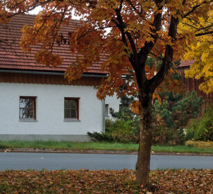 autunno a Rosenau, autumn at Rosenau Baviera, Bavaria