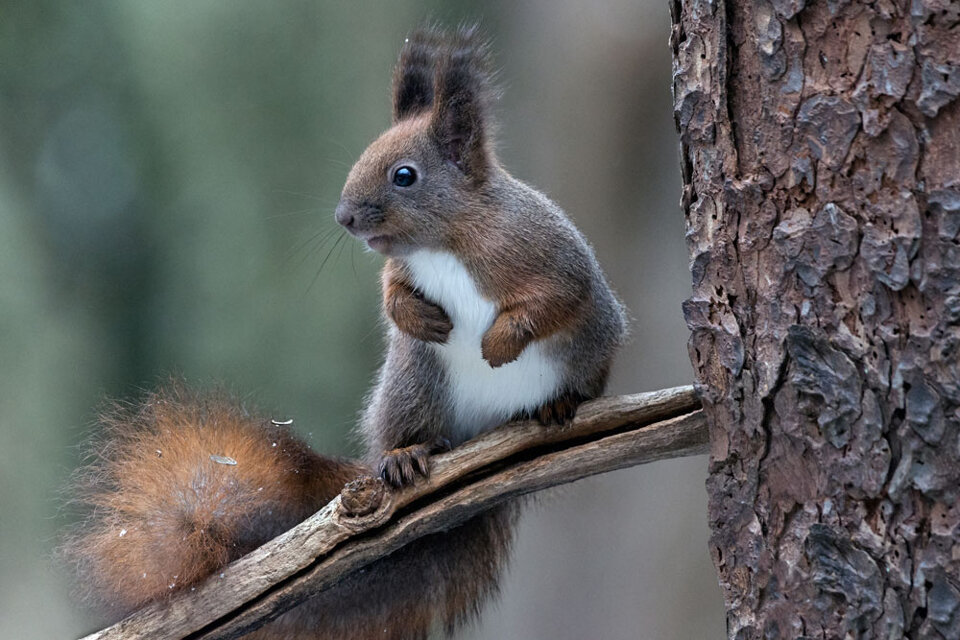 db57b505-a8d9-4512-9301-748e1c3bf3b8