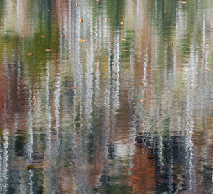 riflessi, reflections lago Rachel, Baviera. Rachel lake, Bavaria