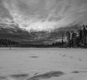 taiga Finlandia, Finland