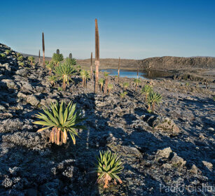paesaggio, landscape, Sanetti plateau