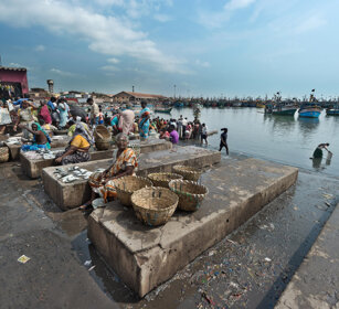 mercato del pesce, fish market Chennai, Tamil Nadu