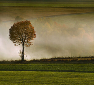 campagna, country Bayerischerwald NP