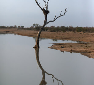 paesaggio, landscape fiume Letaba, Letaba river, Kruger NP