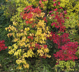 autunno, autumn Baviera, Bavaria