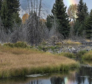 paesaggio, landscape Schwabacher landing, Grand Teton range