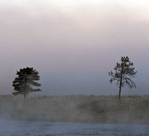 paesaggio, landscape fiume Madison, Madison river, Yellowstone