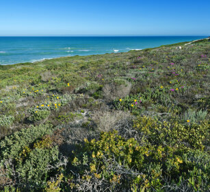 paesaggio, landscape Riserva naturale De Hoop, De Hoop natural reserve