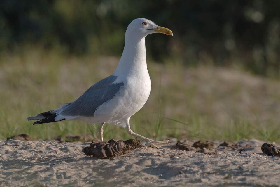 71753076-e343-44aa-9a1e-a85e8463e384.jpeg 71753076-e343-44aa-9a1e-a85e8463e384.jpeg