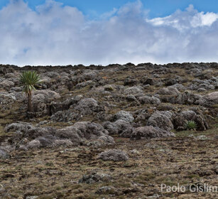 paesaggio, landscape, Sanetti plateau