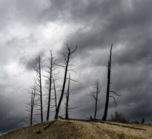 paesaggio, landscape PN di Yellowstone, Yellowstone NP