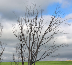 paesaggio, landscape