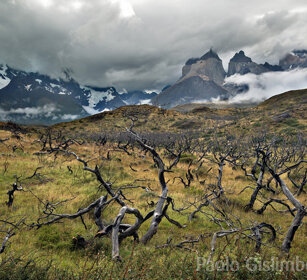 paesaggio PN Torres del Paine, Cile