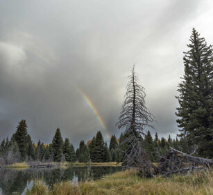 paesaggio, landscape Schwabacher landing, Grand Teton range