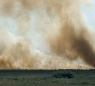 savana in fiamme, burning savannah parco nazionale del Serengeti, Serengeti NP