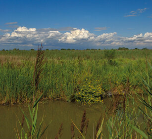 paesaggio, landscape Camargue, St. Maries de la mer