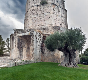 la Tour Magne, Nimes, Francia the Tour Magne, Nimes, France