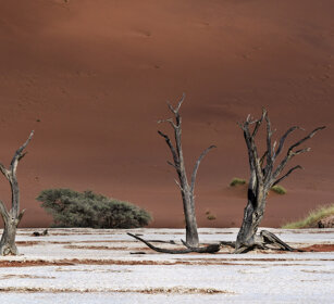 paesaggio, landscape Sossusvlei