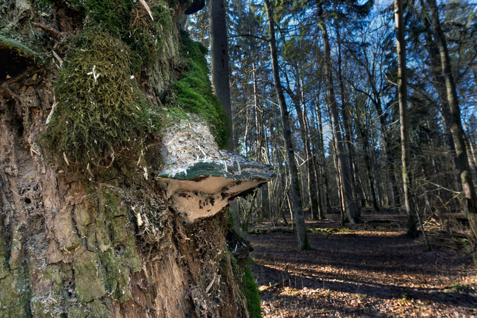 84fa1e0f-0d14-4242-b634-a59c12afc352