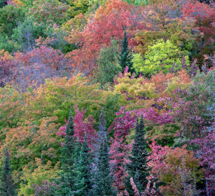 Indian summer Mauricie NP