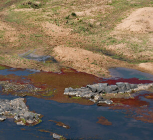 fiume Letaba, Letaba river PN Kruger, Kruger NP