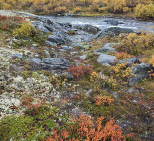 paesaggio, landscape parco nazionale di Dovrefjell, Dovrefjell NP