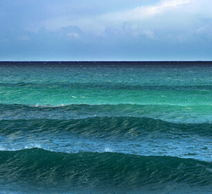 Oceano Atlantico, Atlantic Ocean Riserva naturale De Hoop, De Hoop natural reserve