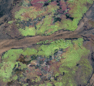 fiume Letaba, Letaba river PN Kruger, Kruger NP