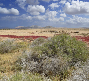 paesaggio, landscape Fuerteventura
