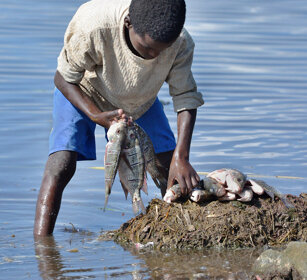 pescatore, fisher lago Awasa, lake Awasa