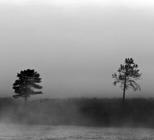 paesaggio, landscape fiume Madison, Madison river, Yellowstone