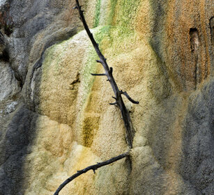 depositi calcarei, calcareous sediments Mammoth Hot spring, PN di Yellowstone, Yellowstone NP