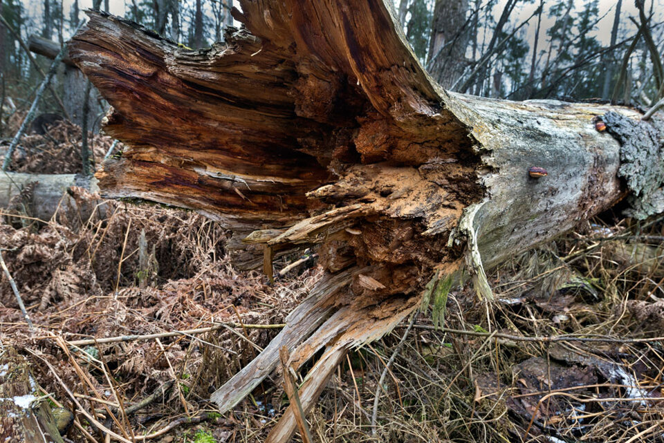 4f414968-1534-4e67-8e80-17be5c735433