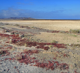 paesaggio, landscape Fuerteventura