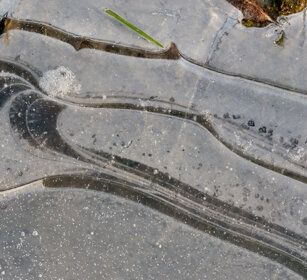 pozzanghera gelata, icy puddle