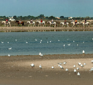 passeggiata a cavallo, riders, Camargue, Francia St. Maries de la Mer 