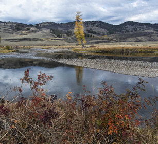 paesaggio, landscape Slough creek, Lamar valley, Yellowstone NP
