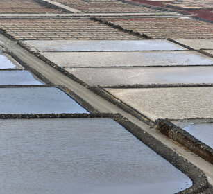 saline, saltworks Fuerteventura