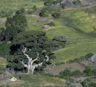 campagna, country Rift Valley