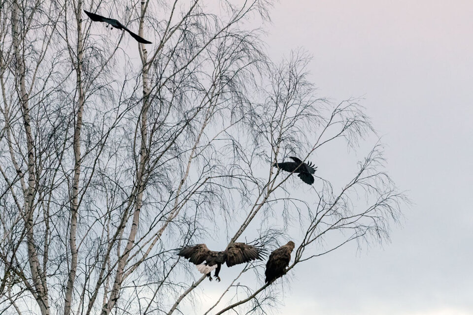 425e494e-5e33-4554-bb86-9243bdeeb136